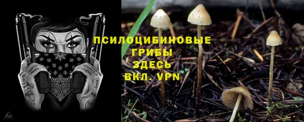 альфа пвп Армянск