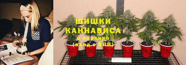 герыч Арсеньев
