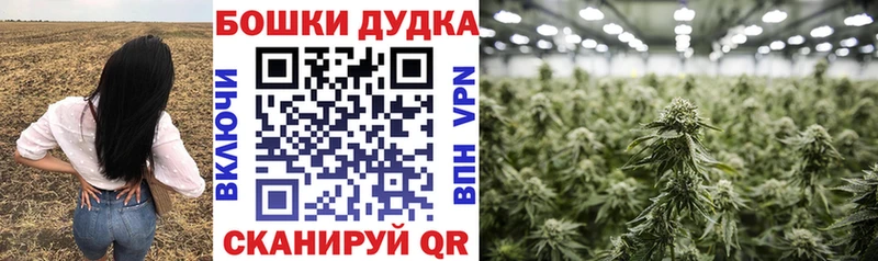 Конопля Bruce Banner Балашов